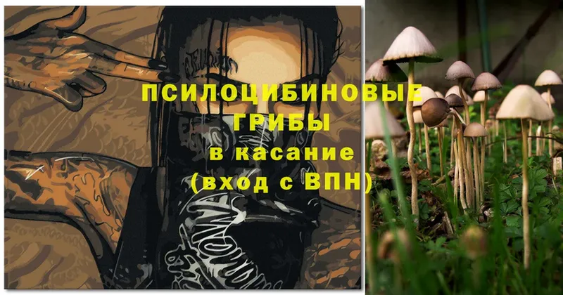 Псилоцибиновые грибы MAGIC MUSHROOMS  Кировск 